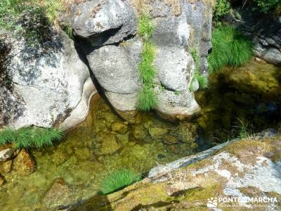 Tejos Valhondillo, Barondillo; viaje naturaleza;rutas montaña madrid;puente san jose;mapas de madri